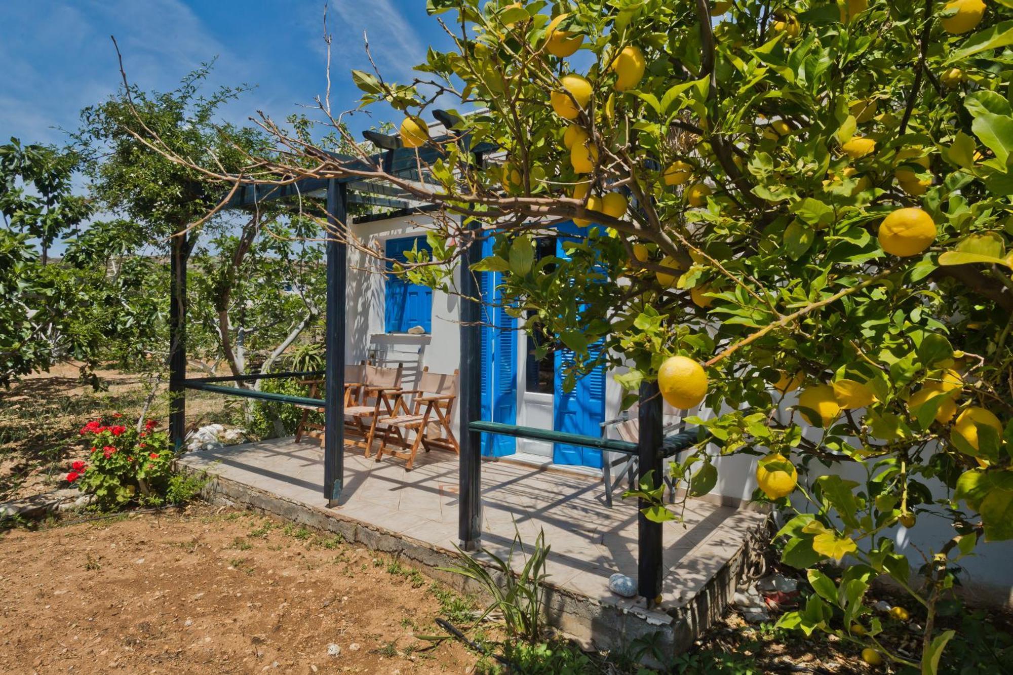 Pleiades Apartments Lefkos  Exterior photo